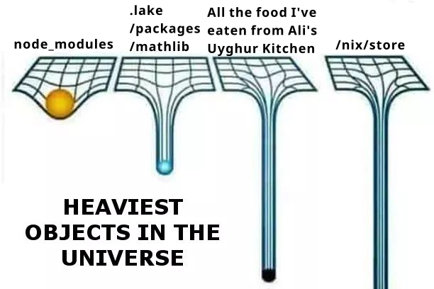 The heaviest objects in the universe meme but it’s my /nix/store