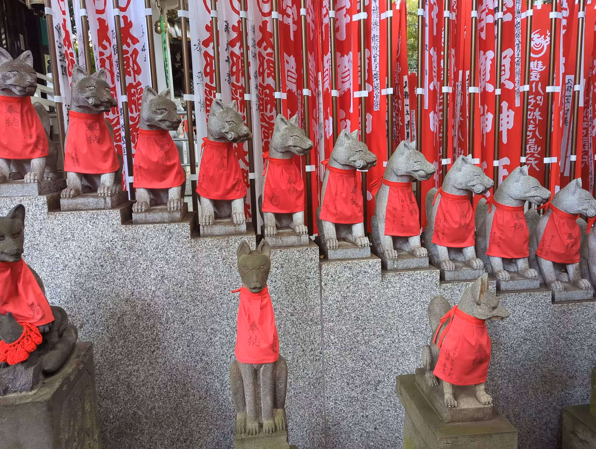 Another view of the stone fox statues